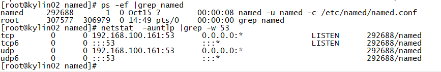 麒麟系统V10 SP2 Bind9.18.7 源码编译安装