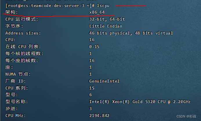 Linux内网离线安装Ollama