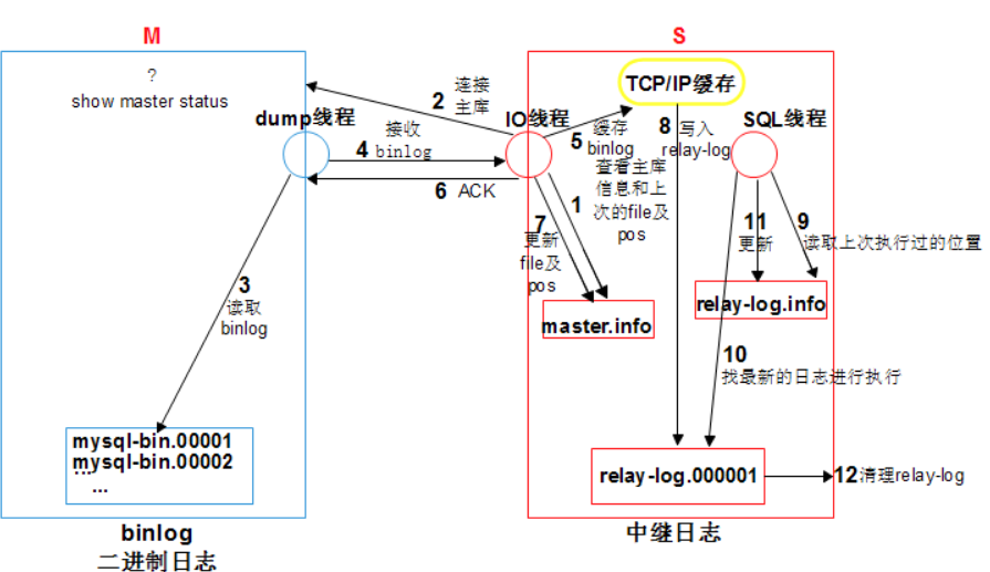 搭建Mysql主从复制